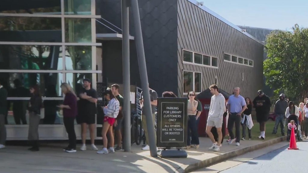 Some Georgia polling places see long lines in last day of early voting — Newnan Community news