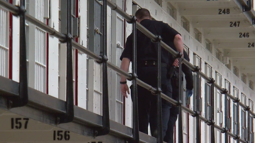 More than two dozen Georgia prisons on lockdown over security concerns following inmate fight — Newnan Health news