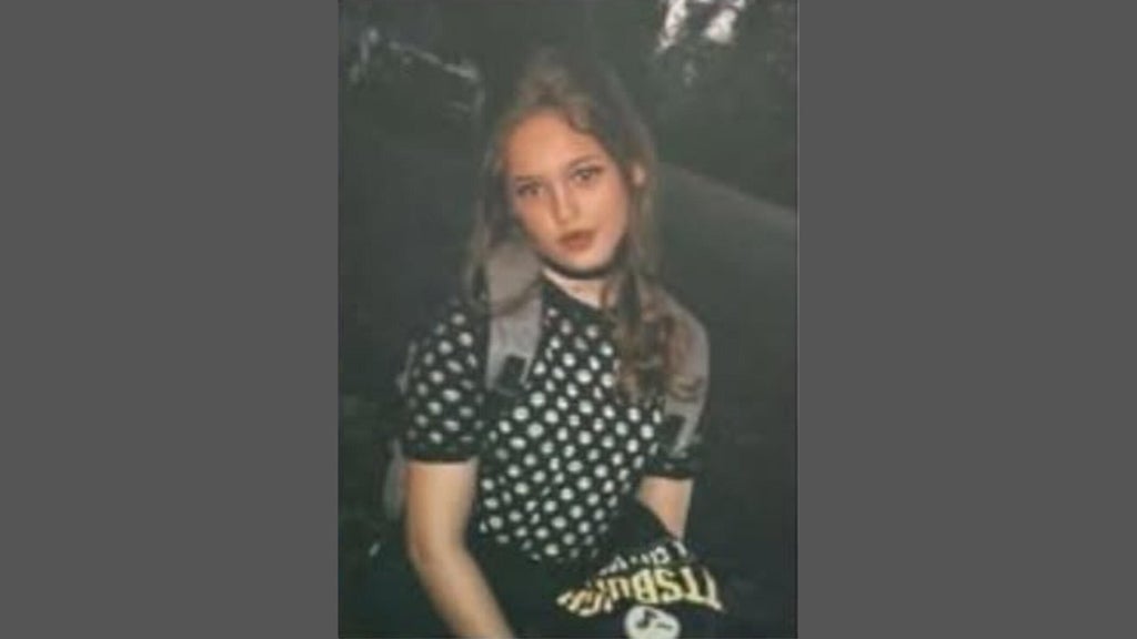 FBI joins search for Georgia 16-year-old girl who has been missing for over a week — Newnan Community news
